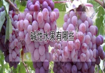 碱性水果有哪些？