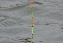 钓罗非鱼什么漂相可提竿 最典型的漂相的什么？