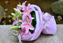 结婚纪念日送什么花最好