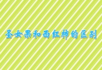 圣女果和西红柿的区别？