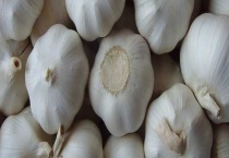 蒜头能否生吃 附种植多久？