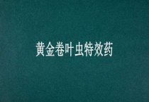 黄金卷叶虫特效药
