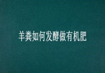 羊粪如何发酵做有机肥