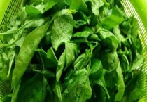 枸杞子的叶子可以吃吗？