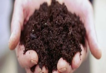 有机肥怎么发酵 具体有哪些要求