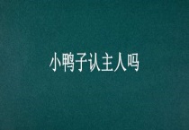 小鸭子认主人吗？