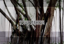 秋天可以修剪树枝吗？