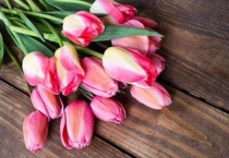 郁金香鲜花插水怎么养