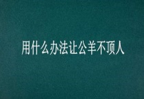 用什么办法让公羊不顶人