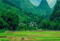 5公斤水溶肥能抵多少复合肥