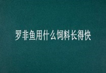 罗非鱼用什么饲料长得快
