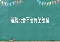 猪脑炎会不会传染给猪