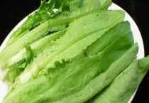 油麦菜是否就是青笋的叶子 油麦菜和青笋叶有什么不同