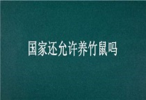 国家还允许养竹鼠吗？