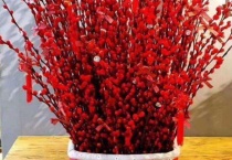 大红色银柳的寓意