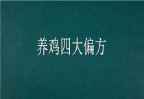 养鸡四大偏方