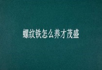 螺纹铁怎么养才茂盛