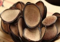 鹿茸是鹿的什么部位 鹿茸的功效与作用