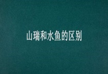 山瑞和水鱼的区别？