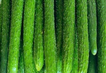 油瓜和黄瓜有什么不同 从外形特点、种植密度等方面来区分