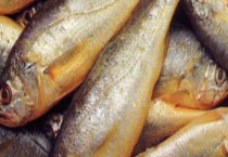 黄花鱼是海鱼吗？如何选择 常见的海鱼是什么？