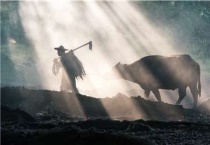 一年的主要农事活动有哪些？