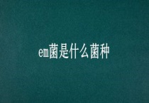 em菌是什么菌种