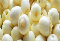 莲子心可以生吃吗 莲子怎么吃