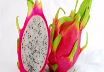 火龙果几年能结果？附产地环境及常见种类