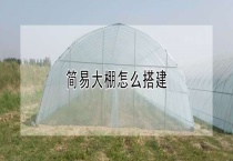 简易大棚怎么搭建