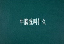 牛膀胱叫什么？