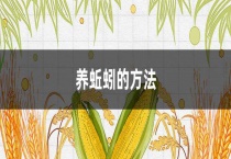 养蚯蚓的多久？