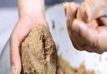 春天钓鲫鱼用什么饵料？作钓技巧有哪些？