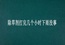 除草剂打完几个小时下雨没事