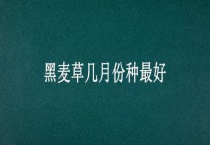 黑麦草几月份种最好