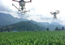 什么是生物农药 怎样辨别真假