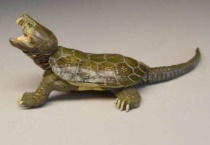 鹰嘴龟可以人工饲养吗？