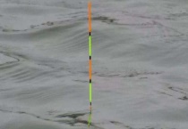 什么是调几钓几 附调漂技巧