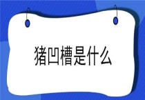 猪凹槽是什么？