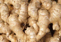 生姜是用什么繁殖的