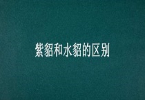 紫貂和水貂的区别？