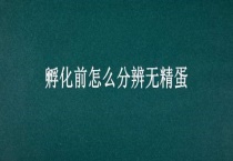孵化前怎么分辨无精蛋