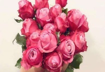 摘下来的花怎么养活