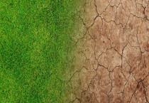 营养土一升等于多少斤