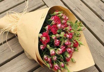 澳洲腊梅可以做干花吗？