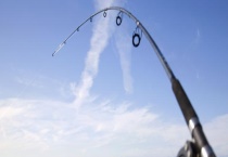 传统钓用什么鱼竿？鱼竿的种类主要有哪些？