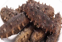 辽参和海参的区别？ 如何鉴别辽参