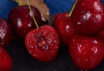 美早大樱桃介绍