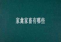 家禽家畜有哪些？