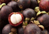 花山竹和山竹啥区别？